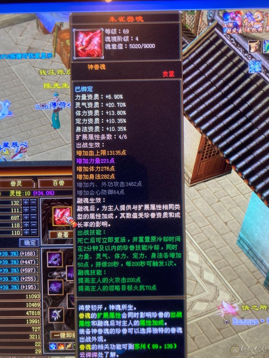6级养老逍遥，带宝宝，这个价绝对赚，图上有的全带