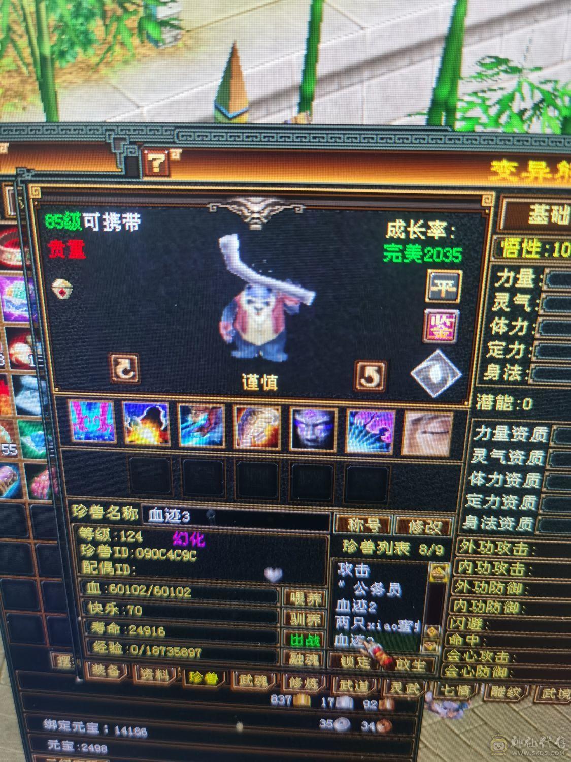 冰火双抗，有一个前100商会