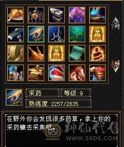 4修4减 4属性过万 裸血73W 3只双十宝宝  多件稀有时装
