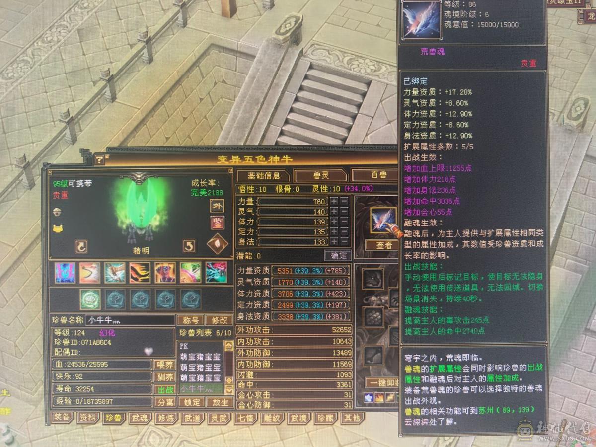 极限五