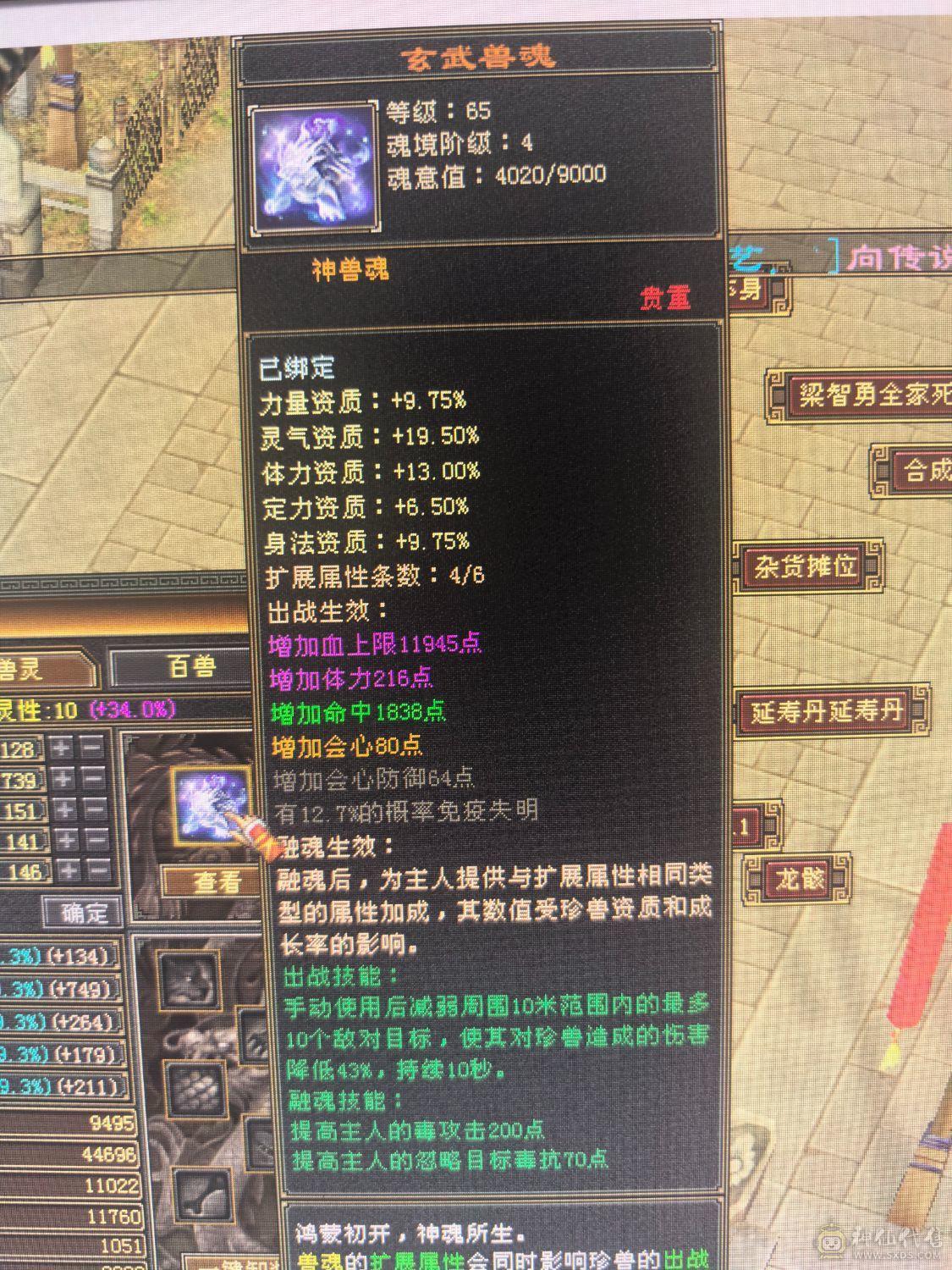 极限五