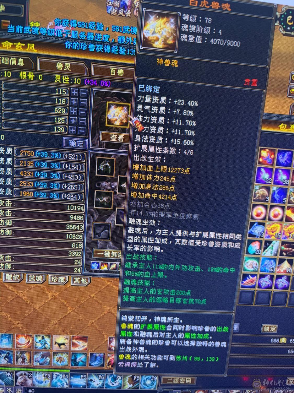 满6体6属，大完美武魂，3修曼托。伤害爆炸。神兽魂5橙已经洗好，白嫖就行。