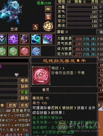 🍎余生推荐🍎满8雕+极限6带7+高减抗+高血量