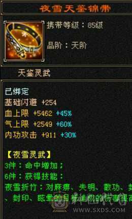 气武当，增伤减伤拉满，配置满5石头硬，不需要任何投资上手直接玩，6级号随便打