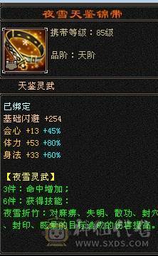 晚晚推荐：三修满6八雕7纹刻，高减高命中高会心，极品宝宝，准6神，各种稀有时装，4级配饰，永久坐骑，裸面板