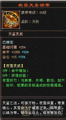  5级巅峰号 会心高  伤害猛