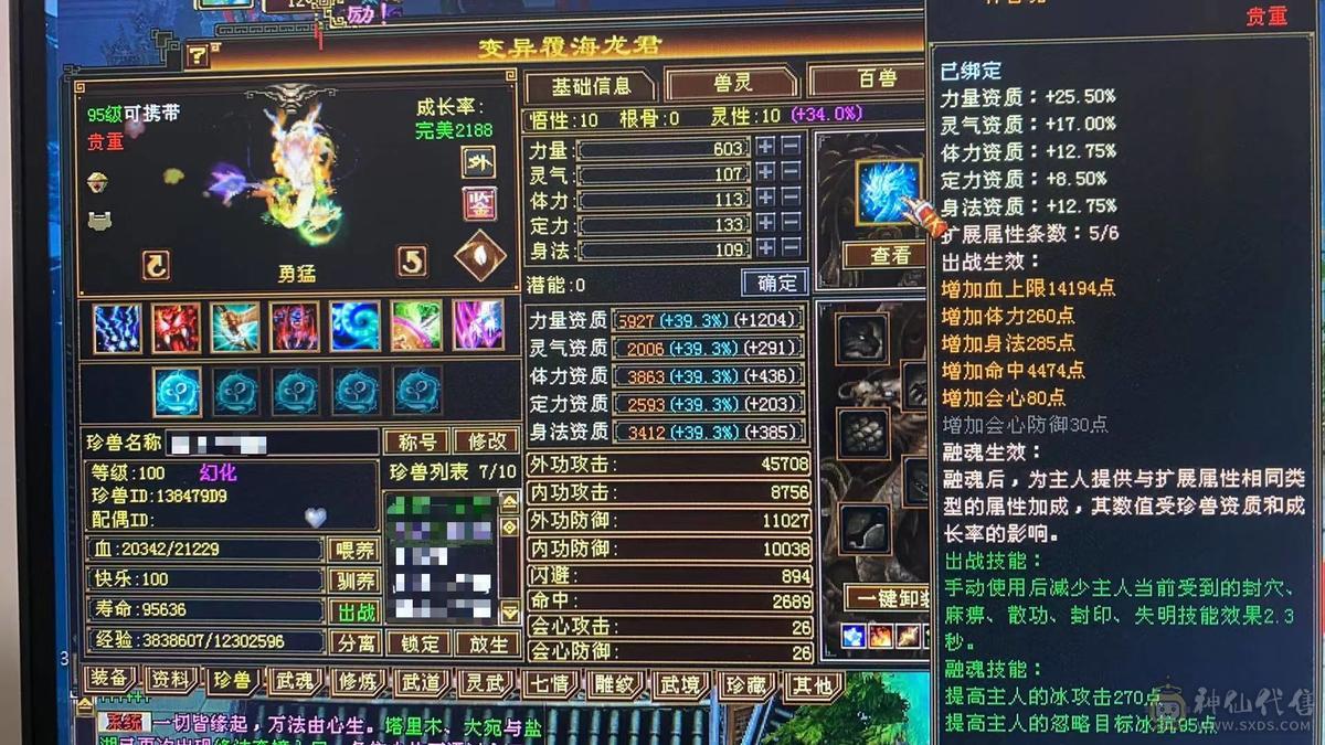 极品细节天山高会心，高命中，7891冰属，1203玄攻，带3个51灵，（95顶变打龟、顶变红魔、顶变万事魂）1个59灵（顶变高资金龙），前排物品店，永久翅膀，多套时装，双10盟会，极品五阶青龙