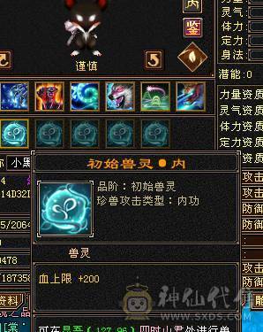 🍎余生推荐🍎极限5，7雕加8雕装备+双坐骑+附体双十戴套宝宝+幻视齐全+中完美武魂+5阶神