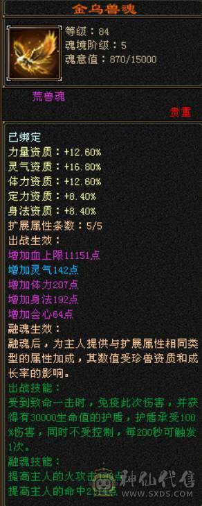 持续更新 裸6006属  三满 5神  5带6石头 玄武外观 5个满级幻视 永久熊坐骑