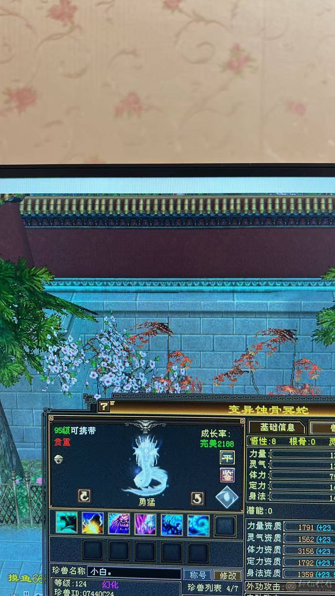 5级暴力天山 带双十2只。 高会心  命中  血  打架嘎嘎香3修。