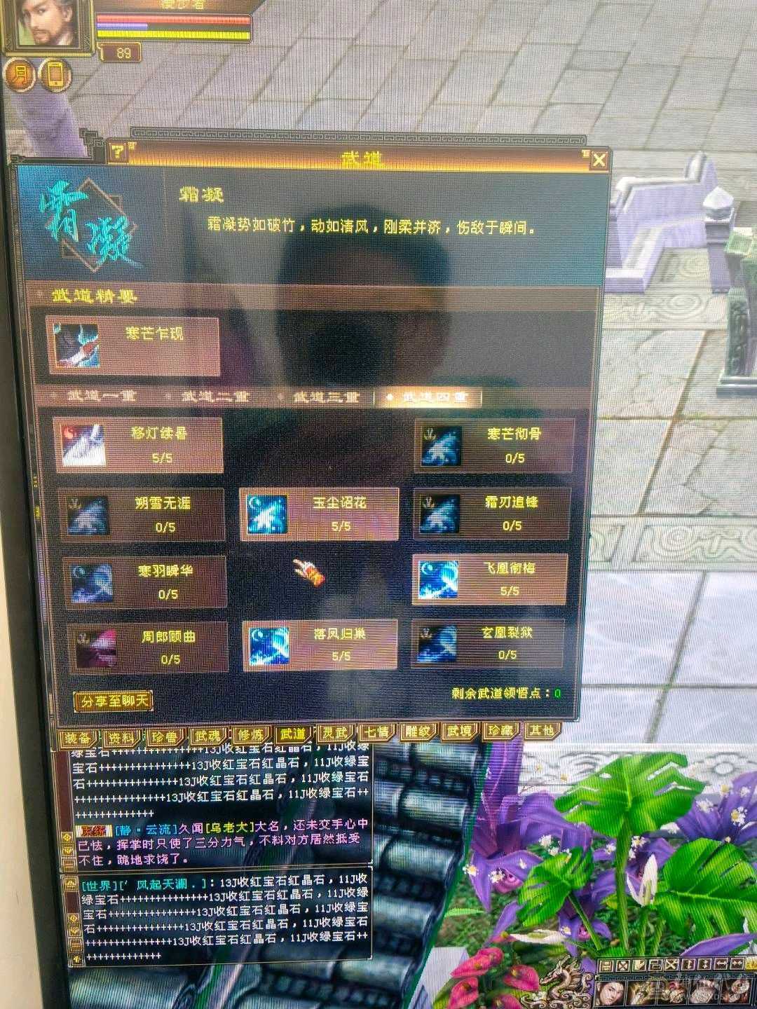 五级天山，打架很厉害，刚买了骷颅战甲，帅