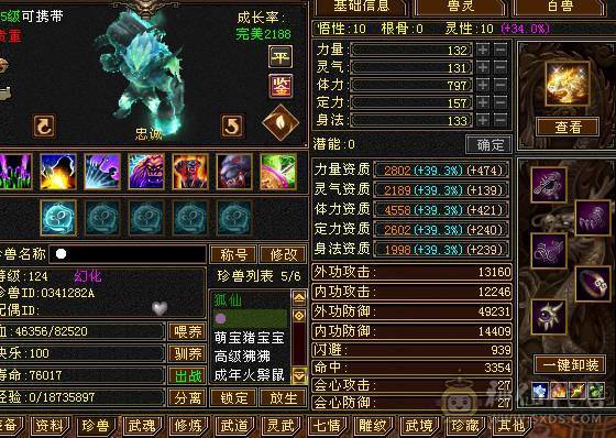 细节号   高伤害  