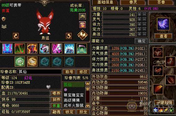 细节号   高伤害  