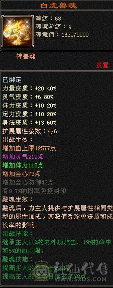 细节号   高伤害  