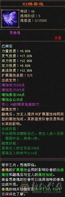 细节号   高伤害  