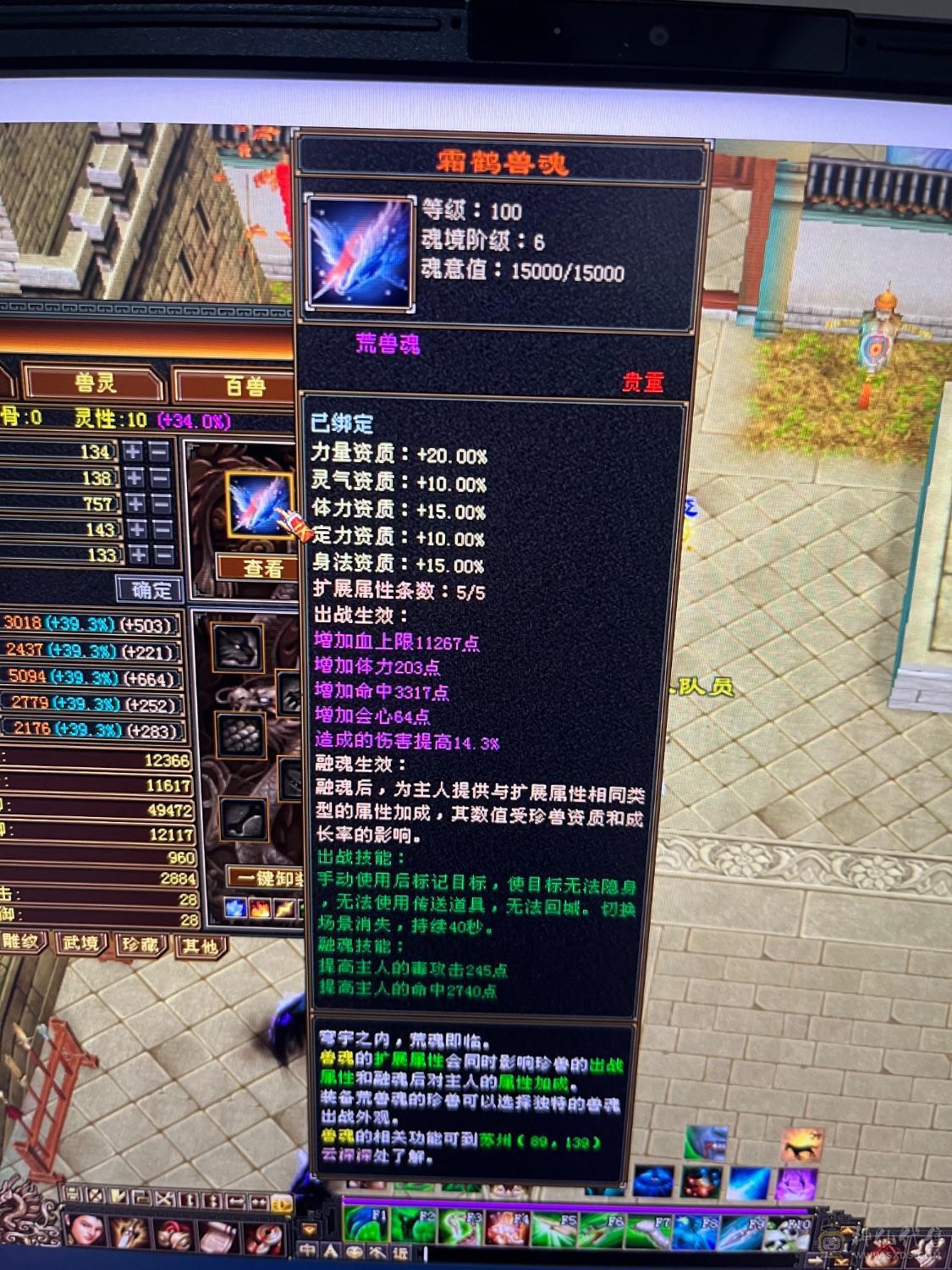 晚晚推荐：满5冰毒星宿，拉满1100冰抗，不是全6减打不动，可玩性很高