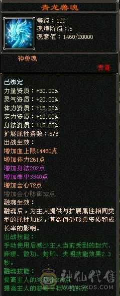6级无敌丹天山，500多会心，6万命中，带外功宝宝和体力宝宝，暴力值拉满。