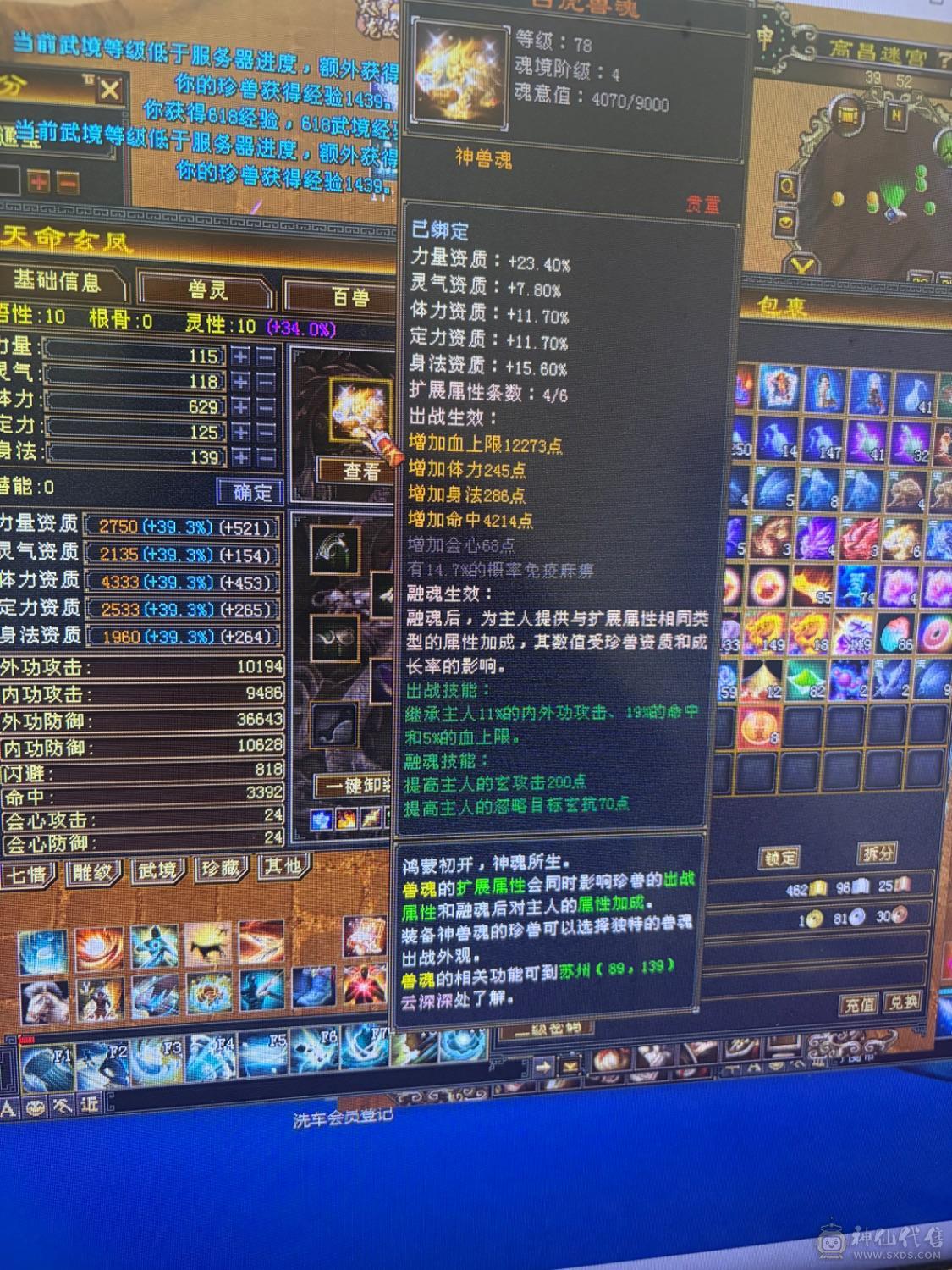 全区最便宜的6体6属号