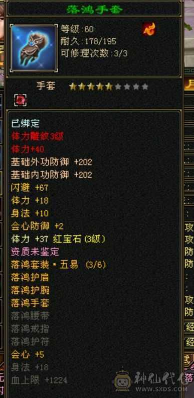 等级号带时装带bb