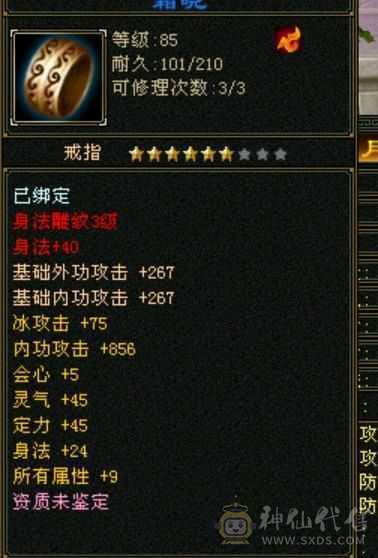 等级号带时装带bb