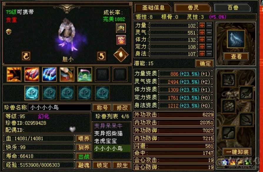 等级号带时装带bb