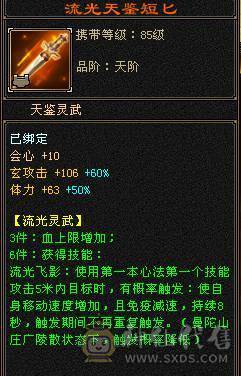 【邀月推荐】极限满10雕文，心络80级满5心络，满7记属性身法精绘+8级体力精绘，四修，7体7抗，冰抗1200火抗1000多，真正的能抗能打，神兽完美大词条