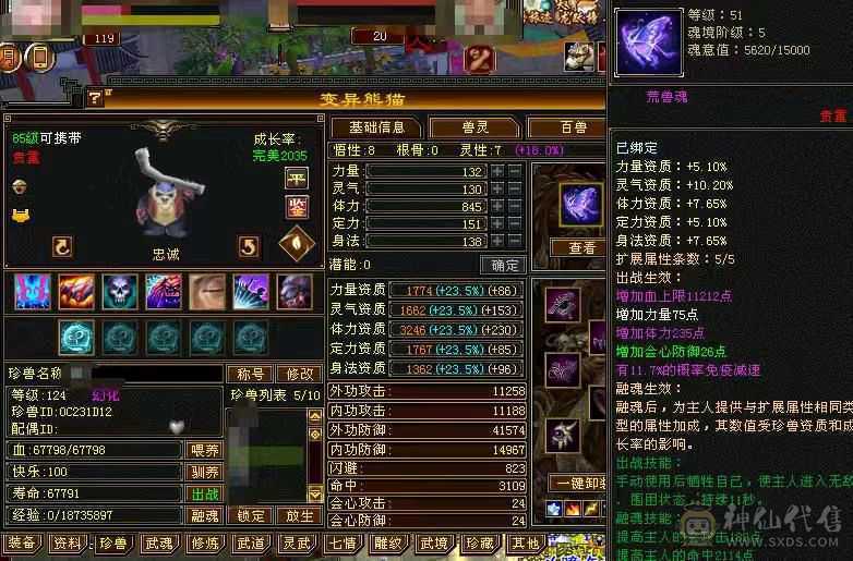10个时装四个幻视两个附体效果冰抗872/5神能打能抗还漂亮
