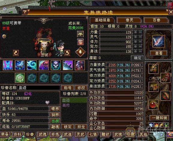 满6星宿，满6减抗，刀刀暴击，打架副本爽歪歪！