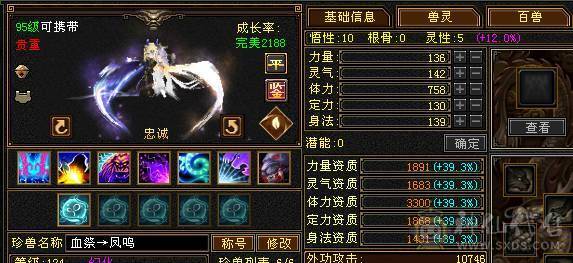 满5满8雕 完美5神逍遥装备细节