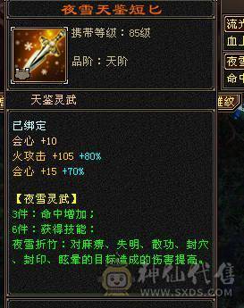满5满8雕 完美5神逍遥装备细节