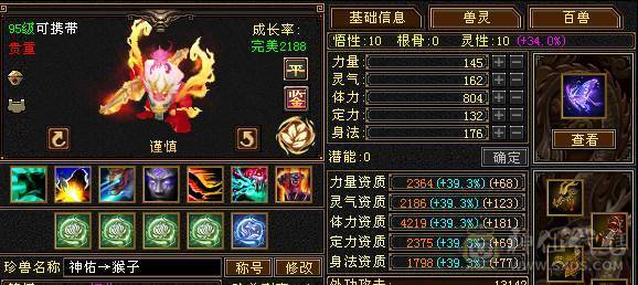 满5满8雕 完美5神逍遥装备细节