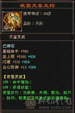 满5满8雕 完美5神逍遥装备细节
