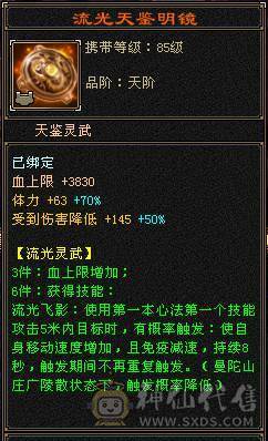 满5满8雕 完美5神逍遥装备细节