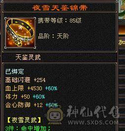 冥帝推荐暴力四修天龙【金乌坐骑+金箍棒幻饰】性价比拉满6级号，1000的冰抗