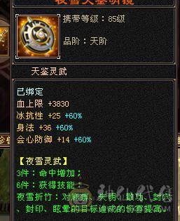 冥帝推荐暴力四修天龙【金乌坐骑+金箍棒幻饰】性价比拉满6级号，1000的冰抗
