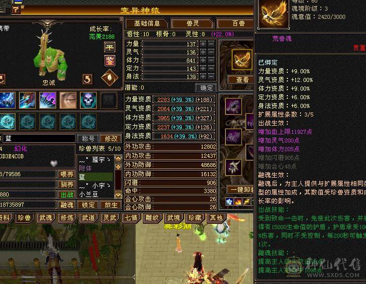 冥帝推荐暴力四修天龙【金乌坐骑+金箍棒幻饰】性价比拉满6级号，1000的冰抗