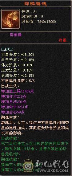 纯5号 满5减抗 气武当  三修三减抗伤害爆炸