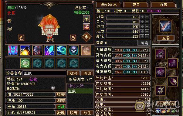 全新幻视背视时装  56W血 无敌丹  面板没吃任何药