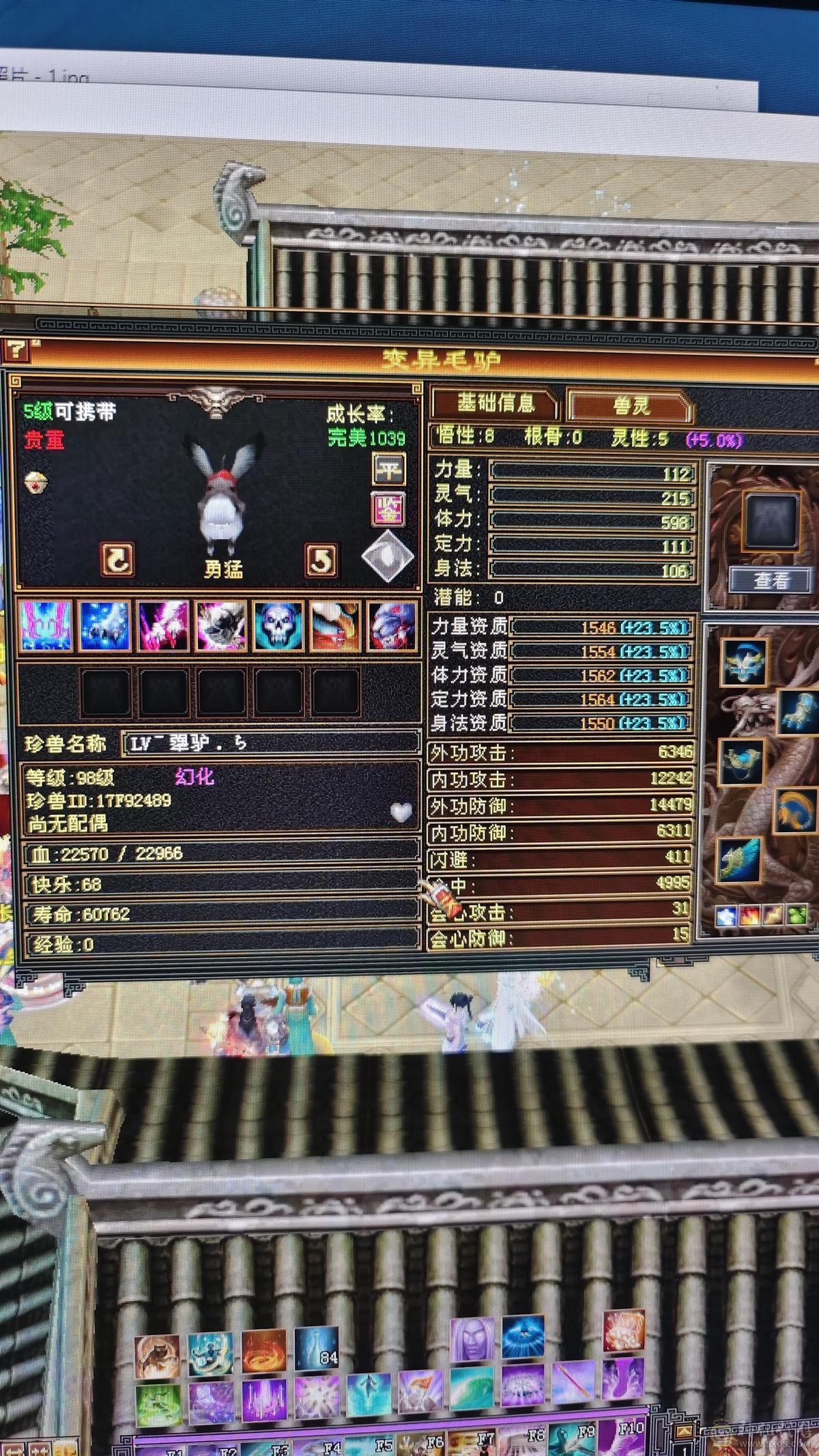 一口价，带顶变怀旧龙