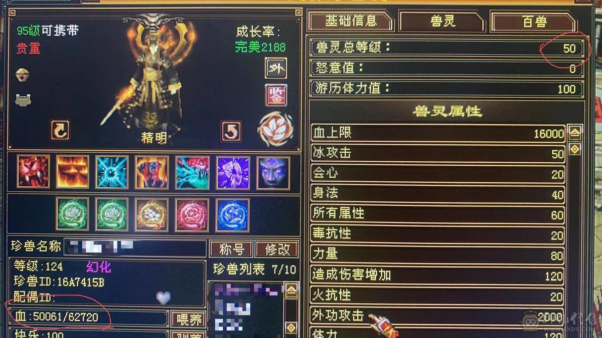 予予推荐：3个51灵，1个59灵，7只极品宝宝，6级细节身法天山、高会、高命、雕纹8-6、7672冰属（满状态8125），1263玄攻，前排物品店，永久翅膀，多套时装，双10盟会，极品五阶青龙，