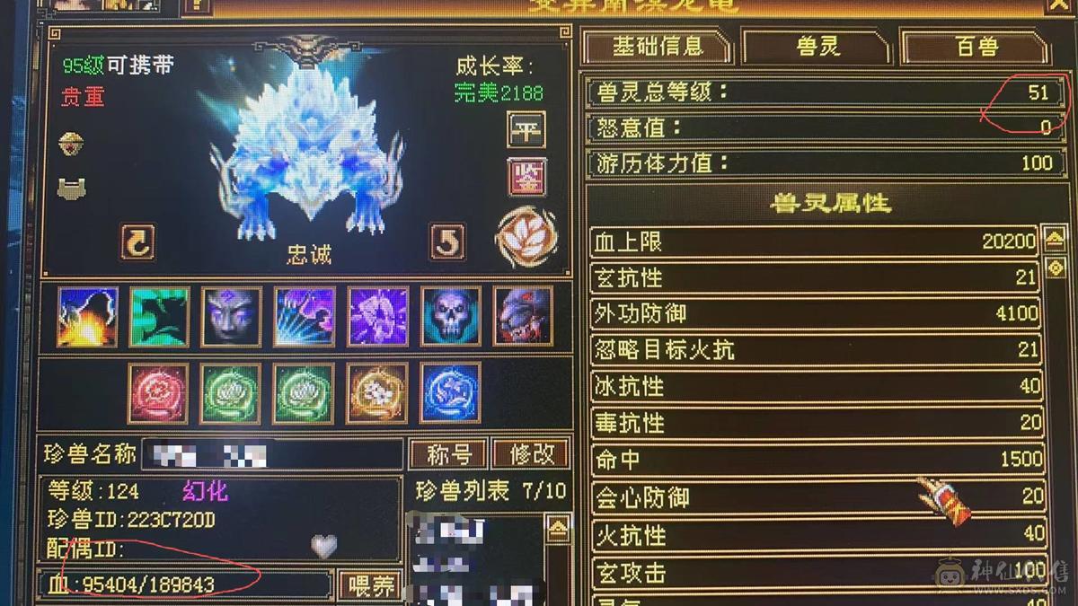 予予推荐：3个51灵，1个59灵，7只极品宝宝，6级细节身法天山、高会、高命、雕纹8-6、7672冰属（满状态8125），1263玄攻，前排物品店，永久翅膀，多套时装，双10盟会，极品五阶青龙，