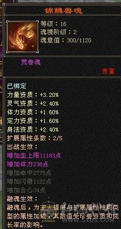 【邀月推荐】6250裸属3修，5神增伤天山，带替换减抗灵武825减抗