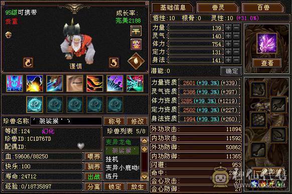 20 件稀有衣服    全服最便宜的6神  6神  6神   6神  6神   6神
