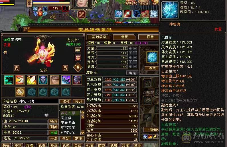 外观天花板：赤兔+15把3级幻视+37件衣服，极限满5减，冰火内血4修，新雕文5级，唯一的不足就是不需要在投资