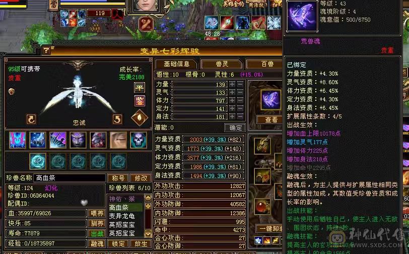 外观天花板：赤兔+15把3级幻视+37件衣服，极限满5减，冰火内血4修，新雕文5级，唯一的不足就是不需要在投资
