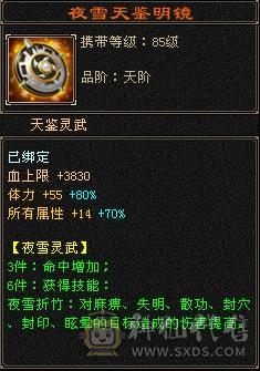 外观天花板：赤兔+15把3级幻视+37件衣服，极限满5减，冰火内血4修，新雕文5级，唯一的不足就是不需要在投资