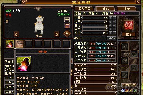 移动粉丝团：卡级6.6.6神.第一人.满雕文.精绘10.10.纹刻随时8.8.带极品50灵.老群宝宝.5只宝宝.双限定坐骑.夜雨.金箍棒.万剑归宗.双神外观.近51W+血.7.8W+命中.360+双会