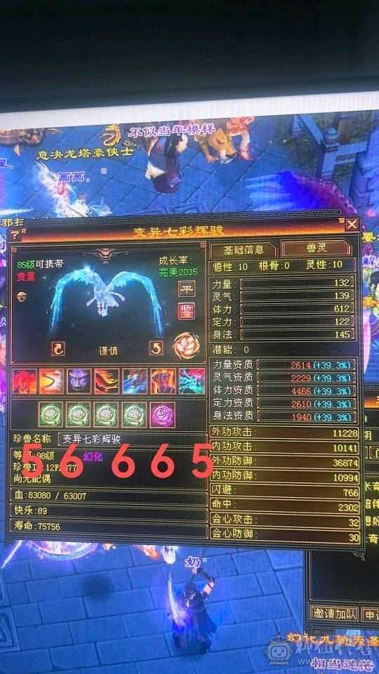 安然推荐 六神三修6带7武当，裸属8040，顶级外观幻视，6个坐骑，时装40多件，面板就一个五级体力精华
