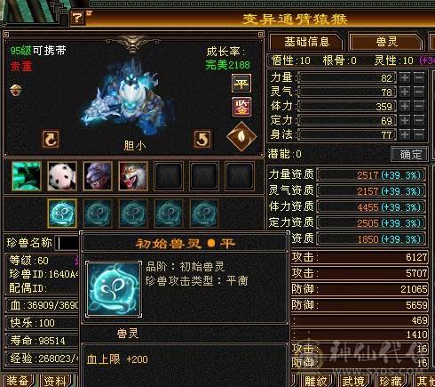 高血高抗，5神6荒，玄武朱雀稀有外观，多时装多幻世，9级盟会