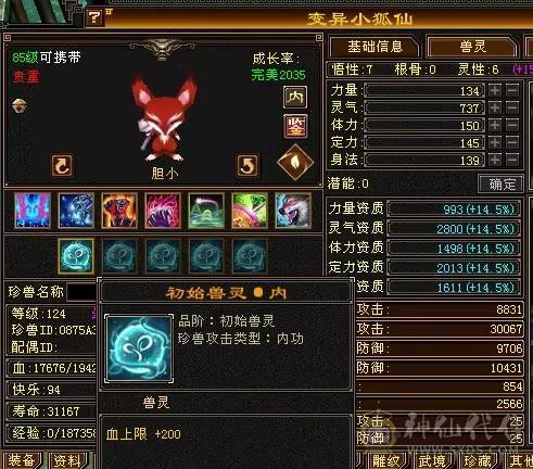 高血高抗，5神6荒，玄武朱雀稀有外观，多时装多幻世，9级盟会